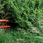 Butterbirne Apartment
