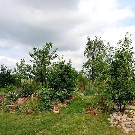 Butterbirne Apartment