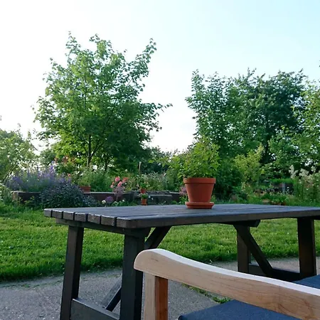 Lägenhet Butterbirne *