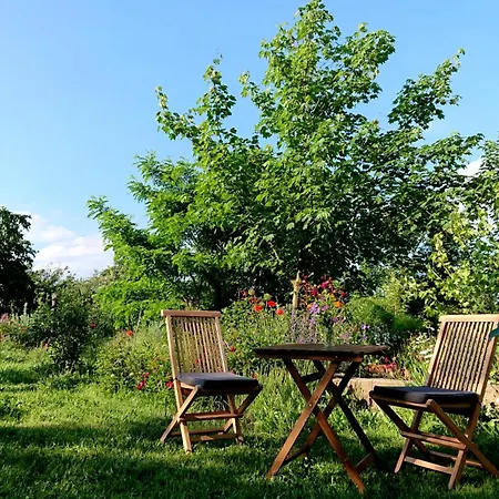 Butterbirne Appartamento Niedergorsdorf