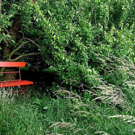 Butterbirne Apartment