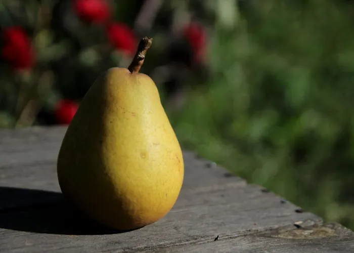 Appartamento Butterbirne