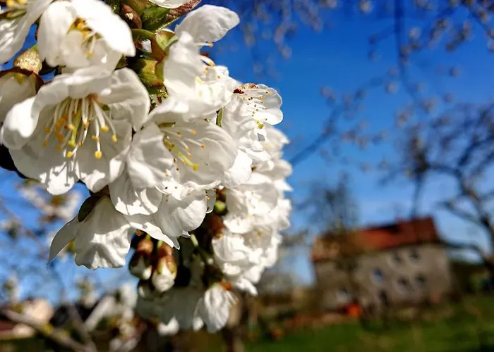 شقة Butterbirne Niedergorsdorf