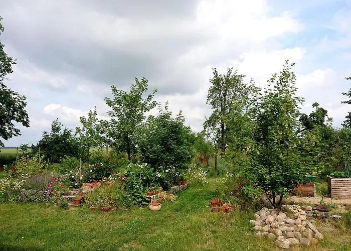 Butterbirne Appartamento